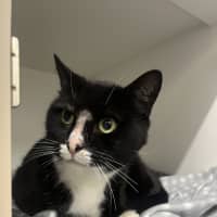 Photo of Butler 