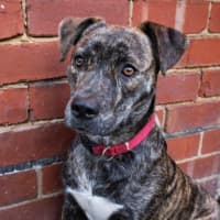 Photo of Benny Lozano