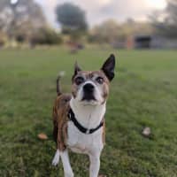 Photo of Brick