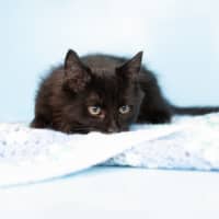 Photo of Albert Einstein