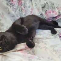 Photo of Pretzel 🥨