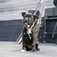 Photo of Emmie