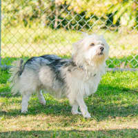 Photo of Rupert