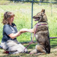 Photo of Kona