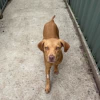Photo of Milly