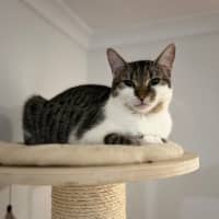 Photo of Pearl