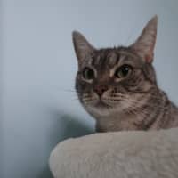 Photo of Kiara