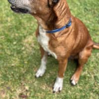 Photo of Tank 