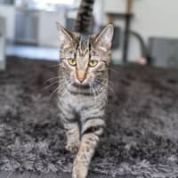 Photo of Eva   Located In Preston