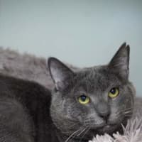 Photo of Sweetie Boy