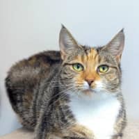 Photo of Azura