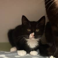 Photo of Daria