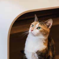 Photo of Genevieve Illingworth