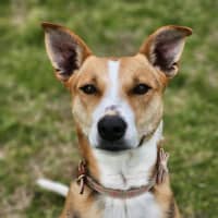 Photo of 🌼 Daisy 6367 🌼