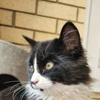 Photo of Tommy