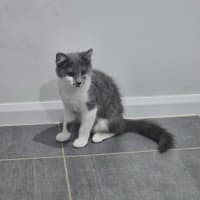 Photo of Joan