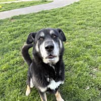 Photo of Zeus 