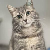 Photo of Maggie
