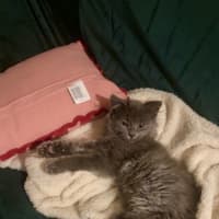 Photo of Lenny & Stormy