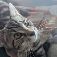Photo of Humble