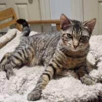 Photo of Holly