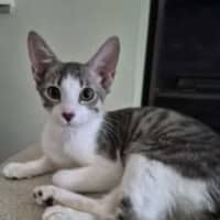 Photo of Gretel