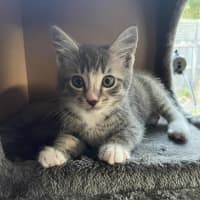 Photo of Lily   Located In Bentleigh East