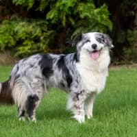 Photo of Lulu