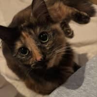 Photo of Soka