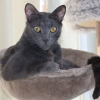 Photo of Nile