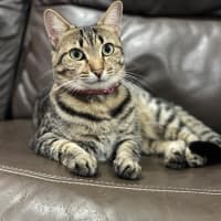 Photo of Kizzie
