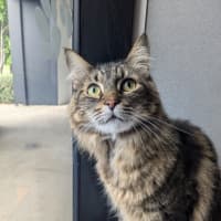 Photo of Zoe