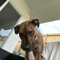 Photo of Lucy
