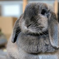 Photo of Louise