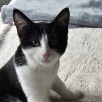 Photo of Winter Meet Me@Petstock Mornington Nepean Hwy 