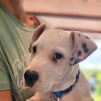 Photo of Winston