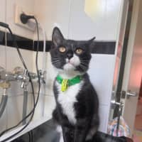 Photo of Dot & Dennis