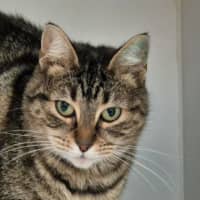 Photo of Pip