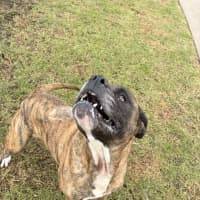 Photo of Cash