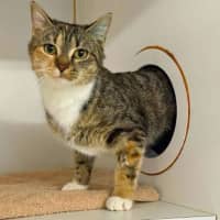 Photo of Lila
