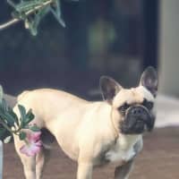 Photo of Darby & Remy