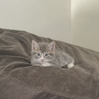 Photo of Emily