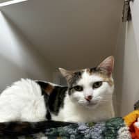 Photo of Dotti