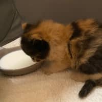 Photo of Hadley Parker