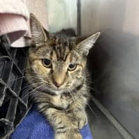 Photo of Pip