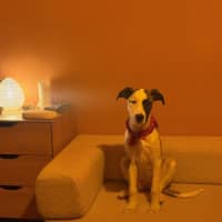 Photo of Isla