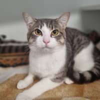 Photo of Oleg 