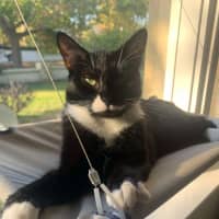 Photo of Blaire & Atlas 