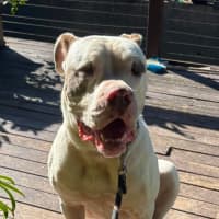 Photo of Mario