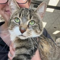 Photo of Skittles And Butter